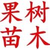 辛海伦的一亩田店铺