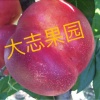 王翠凤的一亩田店铺