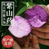 安远县赣紫生态合作社的一亩田店铺