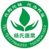 扬浩光的一亩田店铺