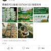 肖国林的一亩田店铺