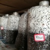 商水县农友食用菌新技术培训基地的一亩田店铺