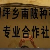 乐安县湖坪乡南陂合作社的一亩田店铺