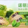 符传贤的一亩田店铺