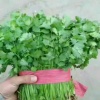 杜玉周的一亩田店铺