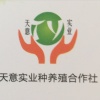 叶县天意合作社的一亩田店铺