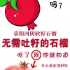 郑州万千榴业科技有限公司的一亩田店铺