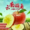 苹果鲜生云南冰糖心苹果的一亩田店铺