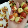 梅姐冬枣合作社的一亩田店铺