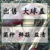绥化市绿源农业科技开发有限公司的一亩田店铺
