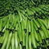 恩胜连迎蔬菜公司的一亩田店铺