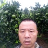 恒鑫种养专业合作社的一亩田店铺