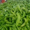 夏邑县红记合作社的一亩田店铺