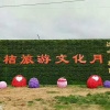 吴朝纲的一亩田店铺