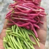 王晓硕的一亩田店铺