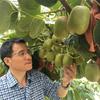 苍溪县锦欣水果种植合作社的一亩田店铺