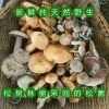 李攀峰的一亩田店铺