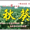 青岛郝寄秋葵商贸有限公司的一亩田店铺