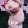 吴刚的一亩田店铺