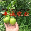 广西容县丰诚农业有限公司的一亩田店铺
