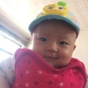 陇县鸿盛种养殖专业合作社的一亩田店铺