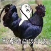 李奕志的一亩田店铺