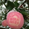 梁高涛的一亩田店铺