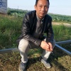 张氏果蔬购销中心的一亩田店铺