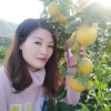 杨会云的一亩田店铺