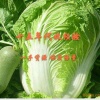 李万友的一亩田店铺