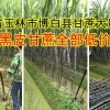 政兴农副产品的一亩田店铺