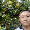 石明的一亩田店铺