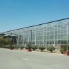青州市康河花卉苗木合作社的一亩田店铺