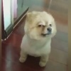 沂南县丰裕农副产品有限公司的一亩田店铺