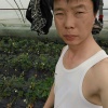 马亚恒的一亩田店铺