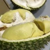 曹玲娟的一亩田店铺