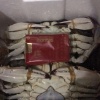 朱文章的一亩田店铺