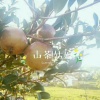欧阳东的一亩田店铺