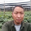 文山市沃野商贸有限公司的一亩田店铺