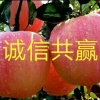 贺兰竹的一亩田店铺