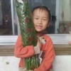 芹香环保的一亩田店铺