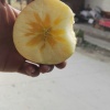 徐小龙的一亩田店铺