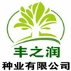 江苏青翠欲滴种业有限公司的一亩田店铺