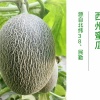 张晓燕的一亩田店铺
