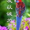 黄豪杰的一亩田店铺