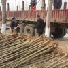 李现珣的一亩田店铺