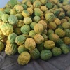 姚安县玉辉果蔬种植基地的一亩田店铺