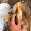 陈爱娟的一亩田店铺