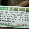 张晓春的一亩田店铺