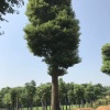 益阳晴萱生态农业有限责任公司的一亩田店铺